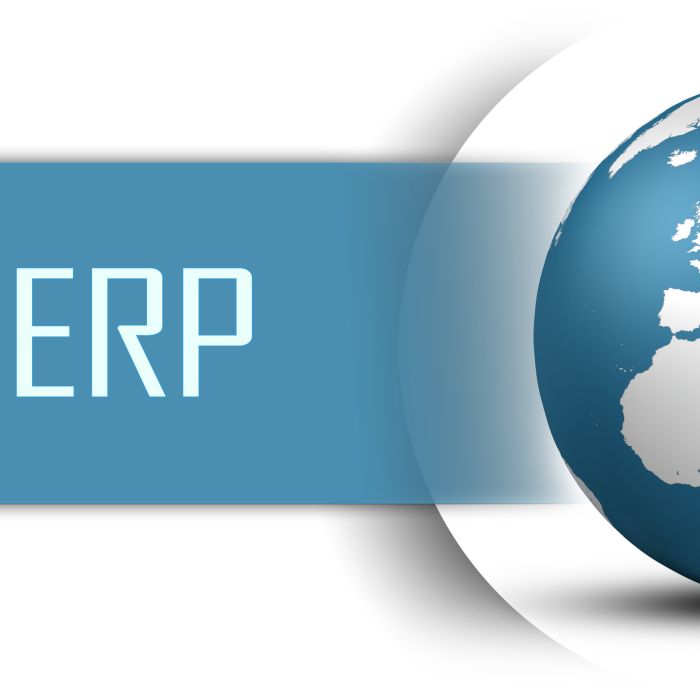 ERPNext-Entwicklung-Wuerzburg-Veitshoechheim-Schweinfurt-Gerolzhofen