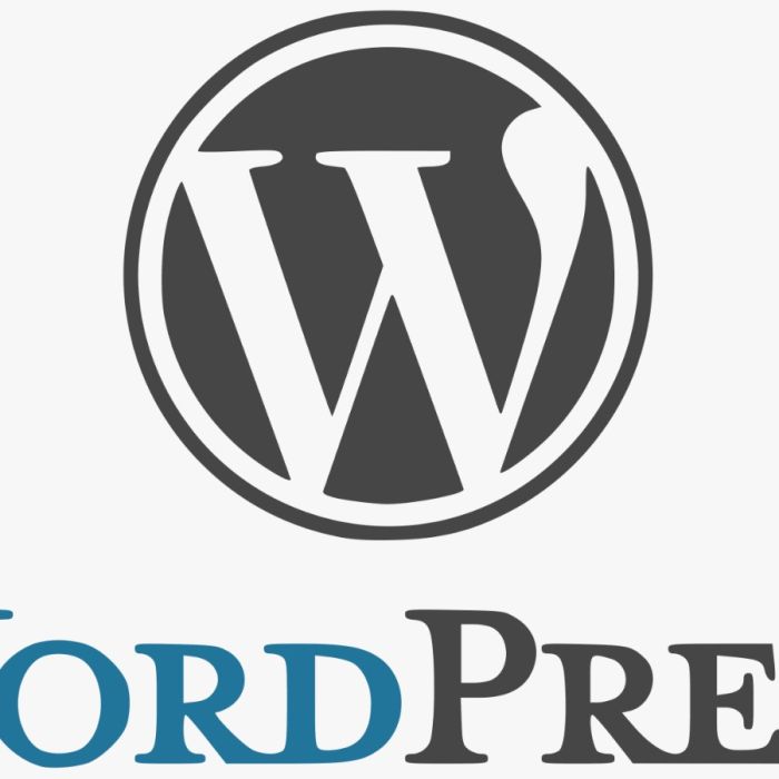 Worpress-Agentur-Wuerzburg-Veitshoechheim-CREOWORX-Schweinfurt